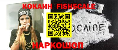 молекула духа Кингисепп