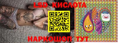 молекула духа Кингисепп