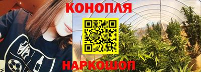 молекула духа Кингисепп