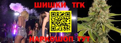 молекула духа Кингисепп