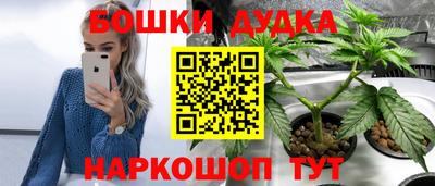молекула духа Кингисепп