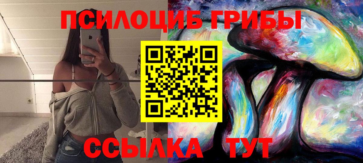 Керчь  Псилоцибиновые грибы прущие грибы  Вход с VPN  Псилоцибиновые грибы GOLDEN TEACHER 